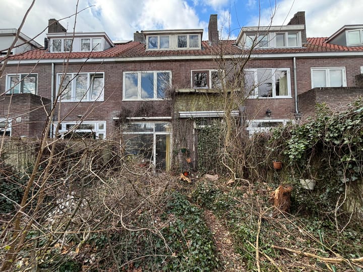 Foto 2 van Boerhaavelaan 37