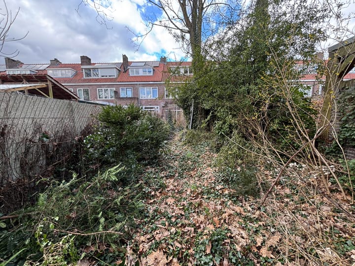 Foto 3 van Boerhaavelaan 37