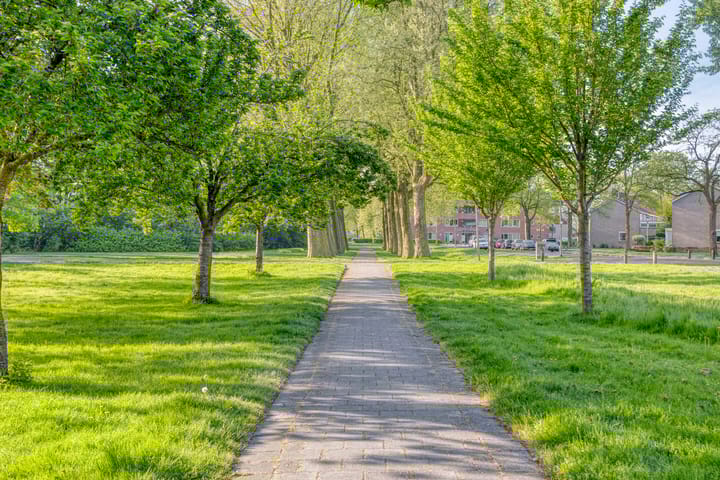 Foto 46 van De Kaapstander 16