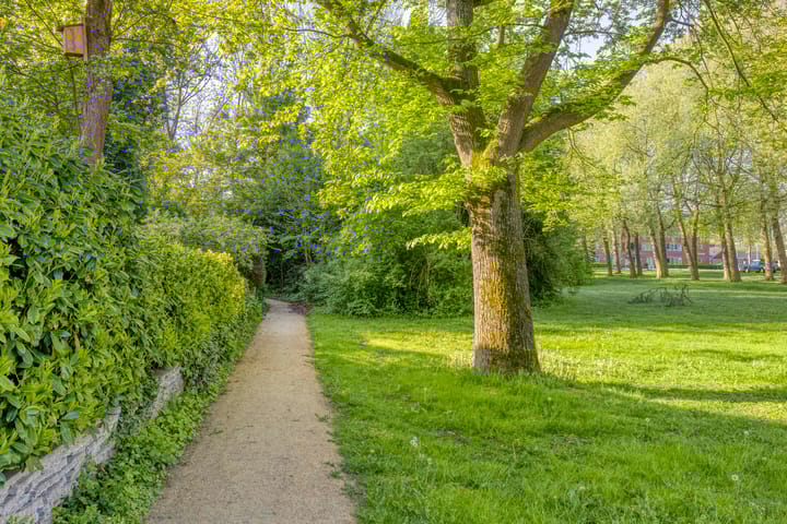 Foto 47 van De Kaapstander 16