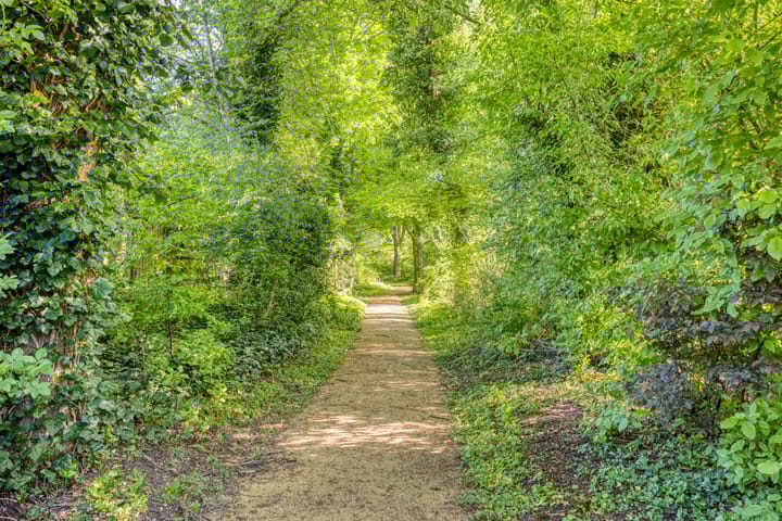 Foto 49 van De Kaapstander 16