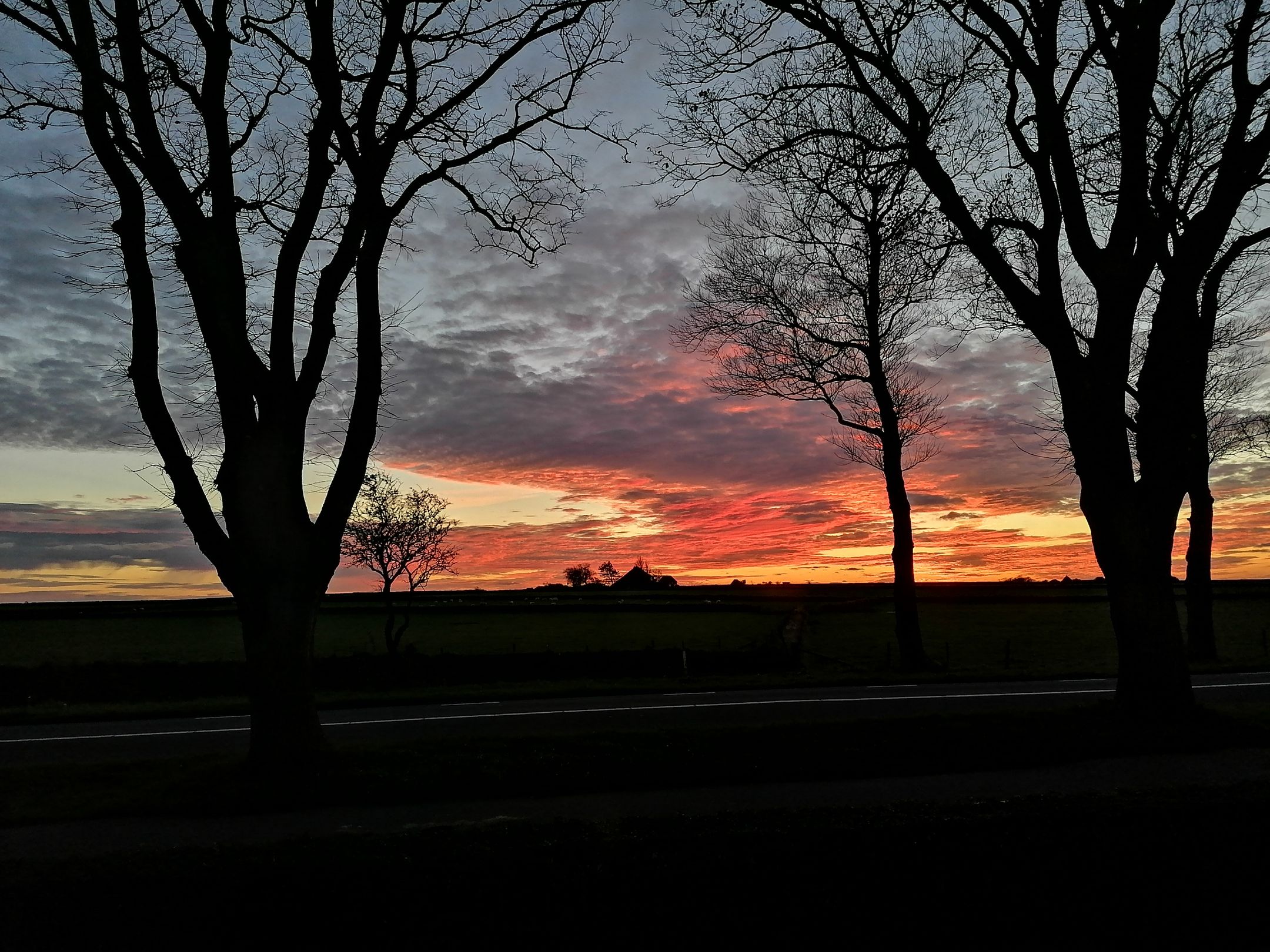 Foto 3 van Schilderweg 169