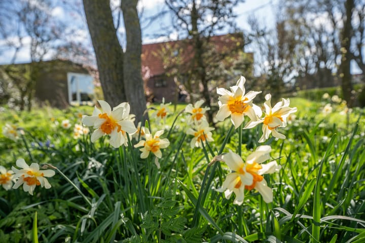 Foto 8 van Schilderweg 169