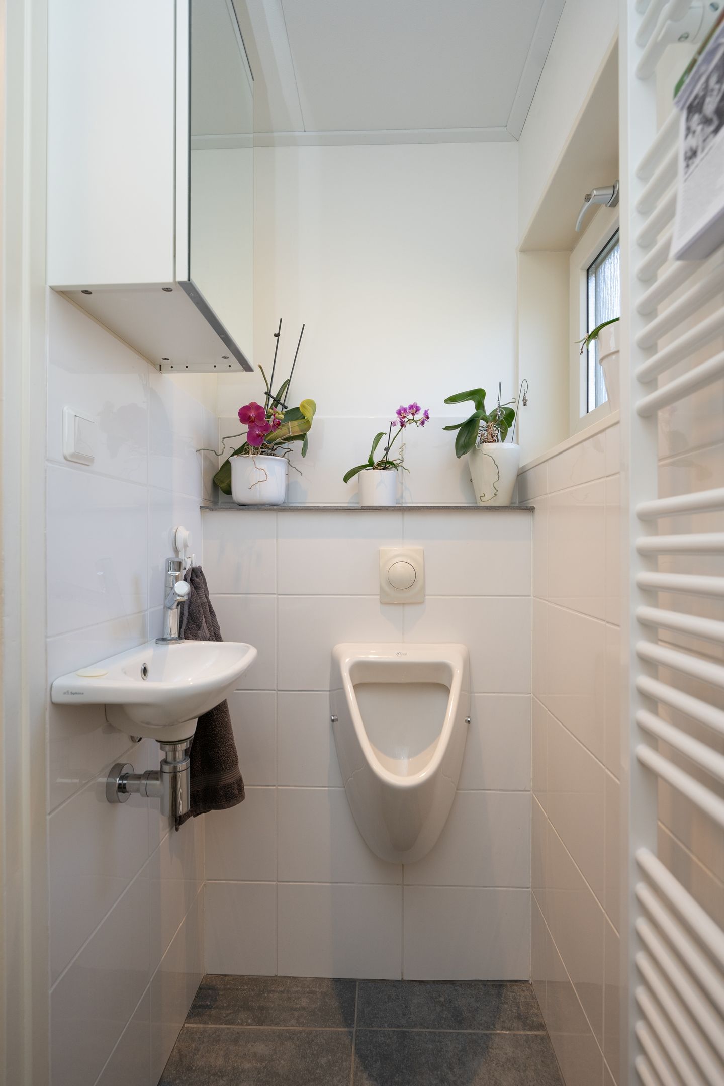 Foto 19 van Schilderweg 169