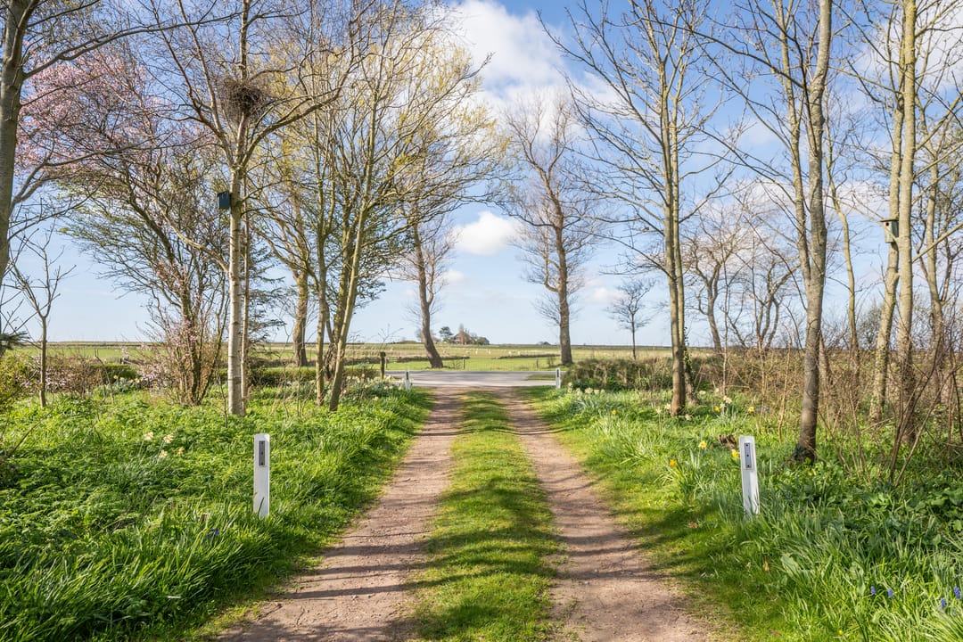 Foto 31 van Schilderweg 169