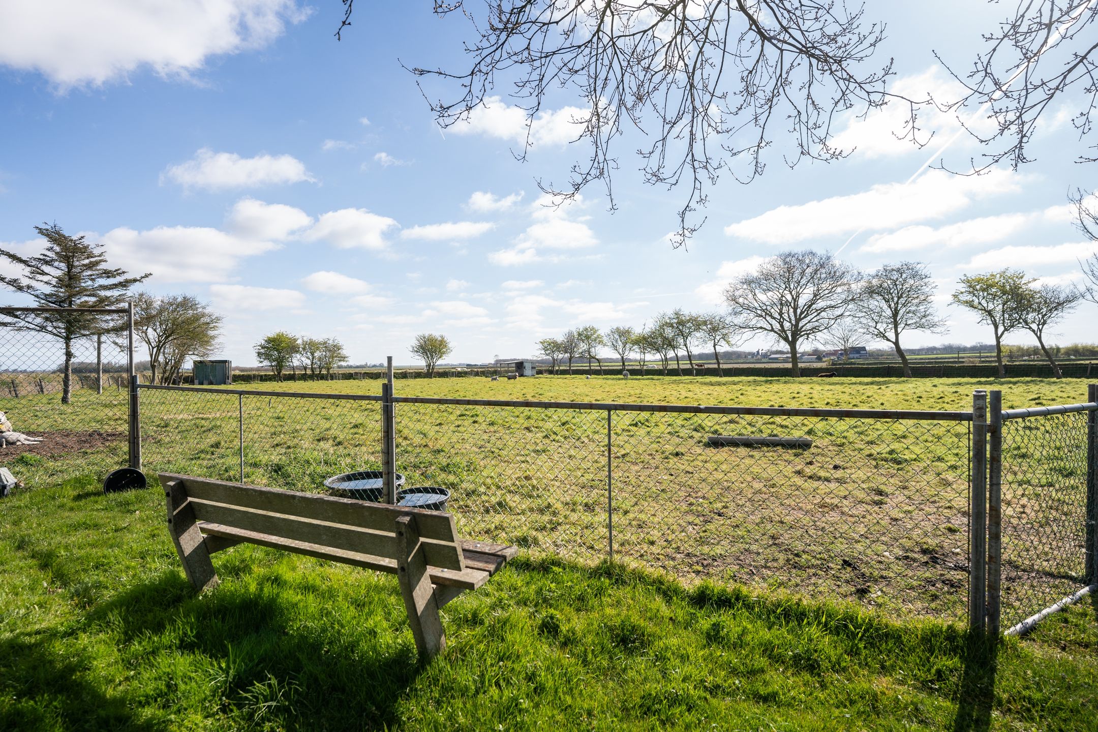 Foto 51 van Schilderweg 169