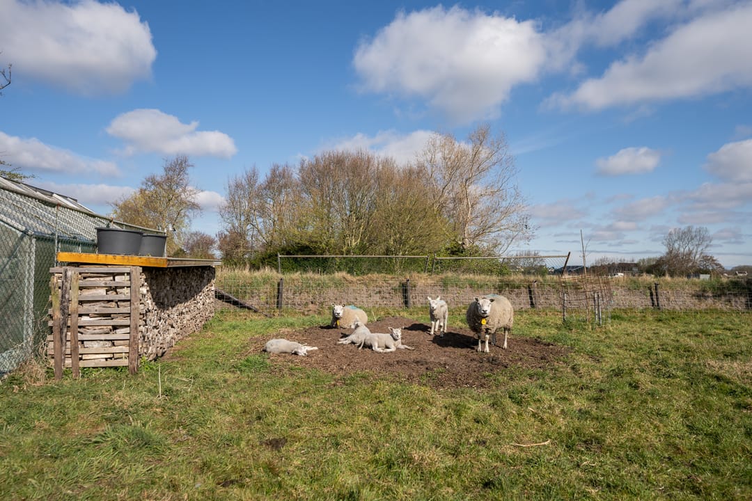 Foto 52 van Schilderweg 169