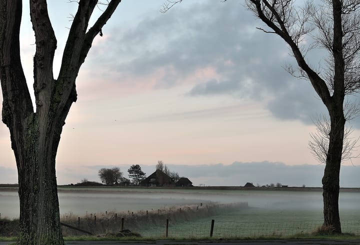 Foto 63 van Schilderweg 169