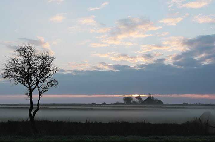 Foto 64 van Schilderweg 169