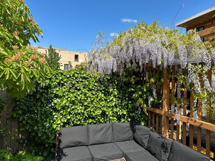 Foto 13 van Emmy Andriessestraat 419