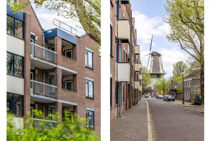 Photo 6 of Westvest 277