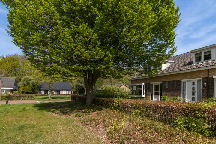 Foto 53 van Jan de Wittstraat 1