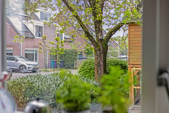 Foto 40 van De Klapmuts 4