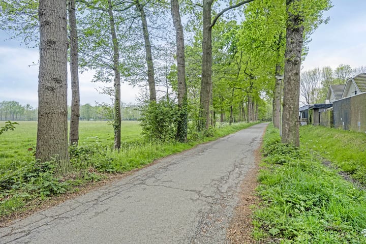 Foto 42 van De Klapmuts 4