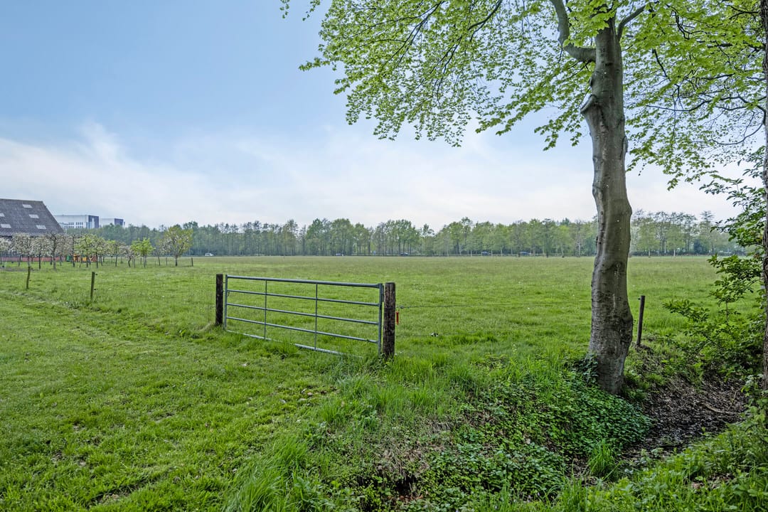 Foto 43 van De Klapmuts 4