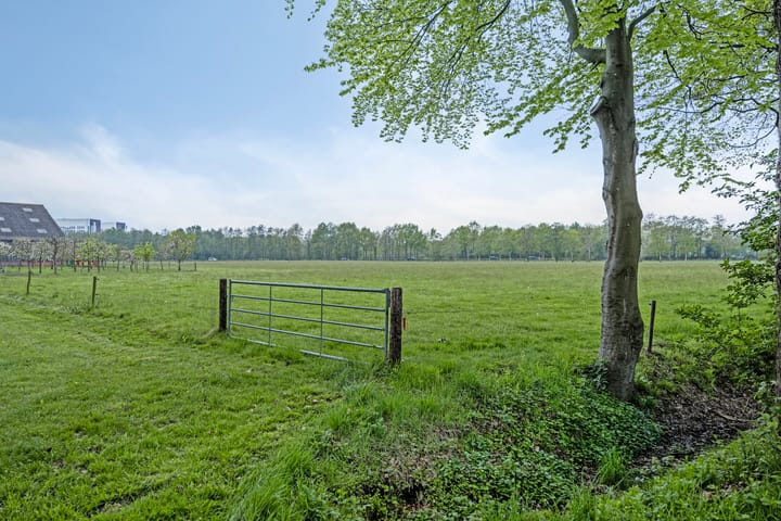 Foto 43 van De Klapmuts 4