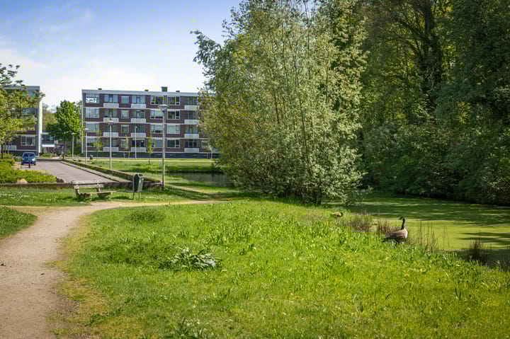 Photo 19 of Keizer Frederikstraat 77