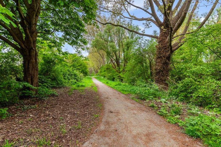 Foto 42 van Keteldiep 7