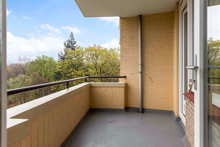 Foto 10 van Soerenseweg 125-53