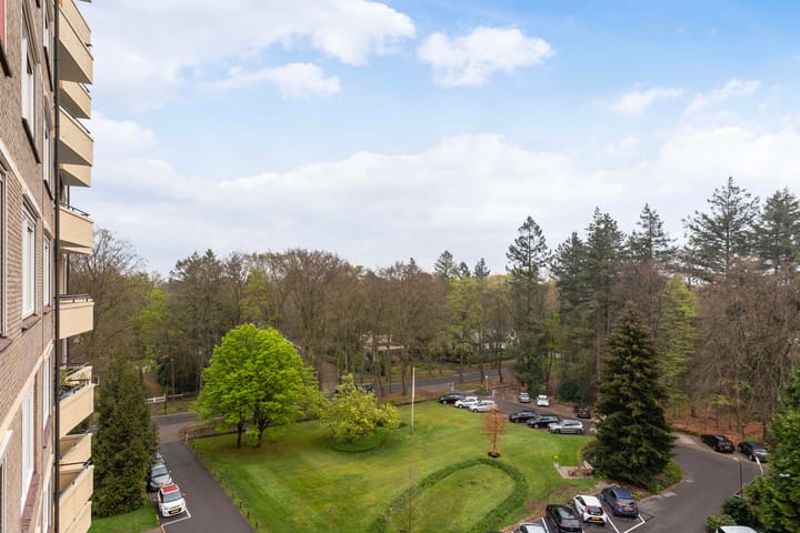 Foto 11 van Soerenseweg 125-53