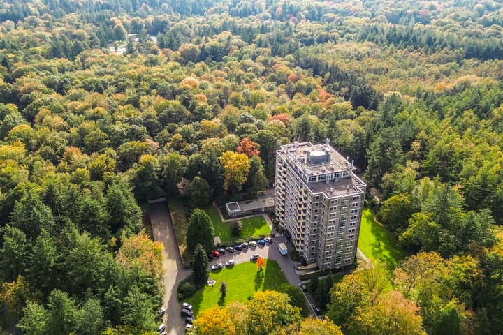 Foto 22 van Soerenseweg 125-53