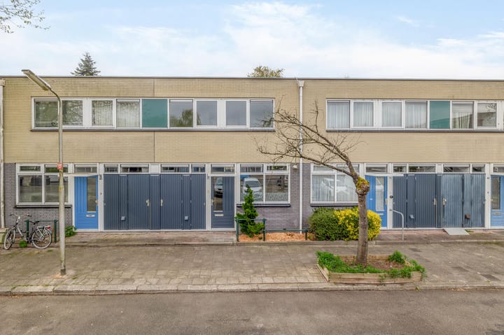 Foto 1 van de Dulf 41