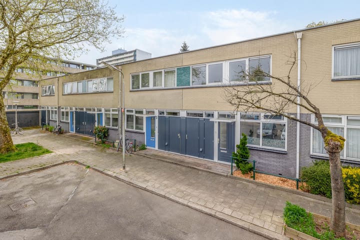 Foto 5 van de Dulf 41