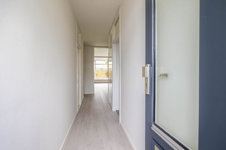 Foto 6 van de Dulf 41