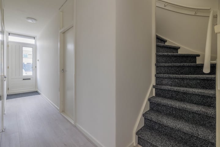 Foto 7 van de Dulf 41