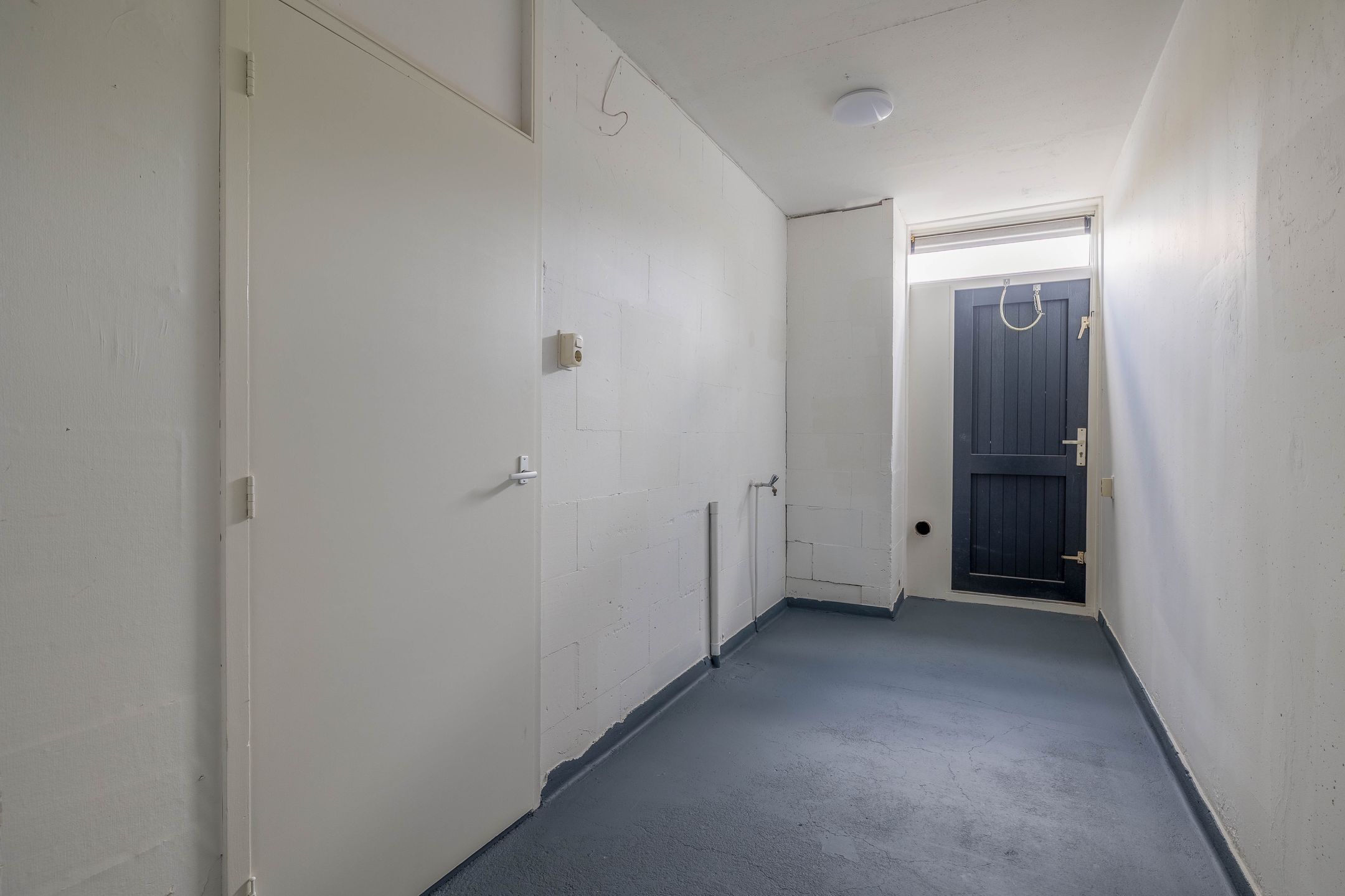 Foto 12 van de Dulf 41