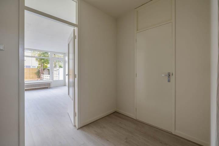 Foto 14 van de Dulf 41