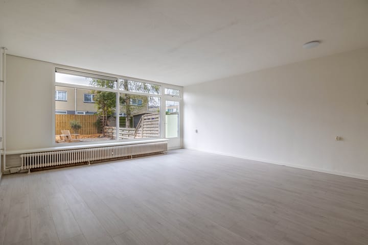 Foto 15 van de Dulf 41