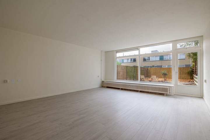 Foto 16 van de Dulf 41