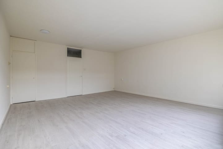 Foto 18 van de Dulf 41