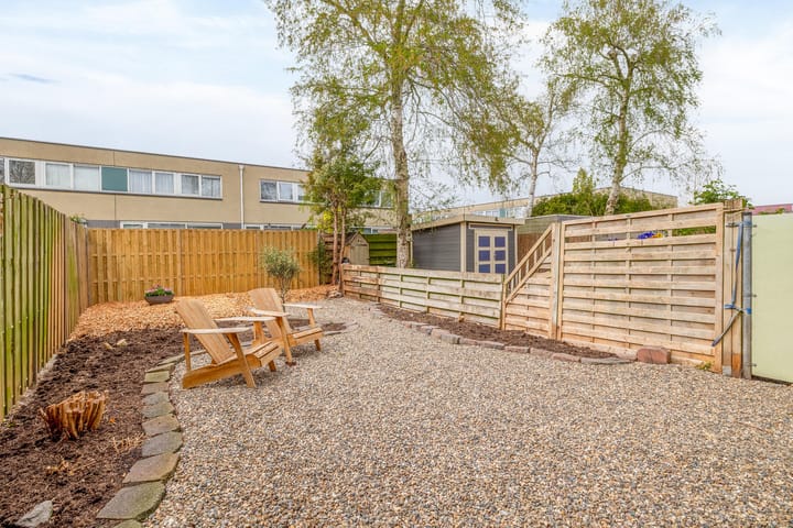 Foto 20 van de Dulf 41