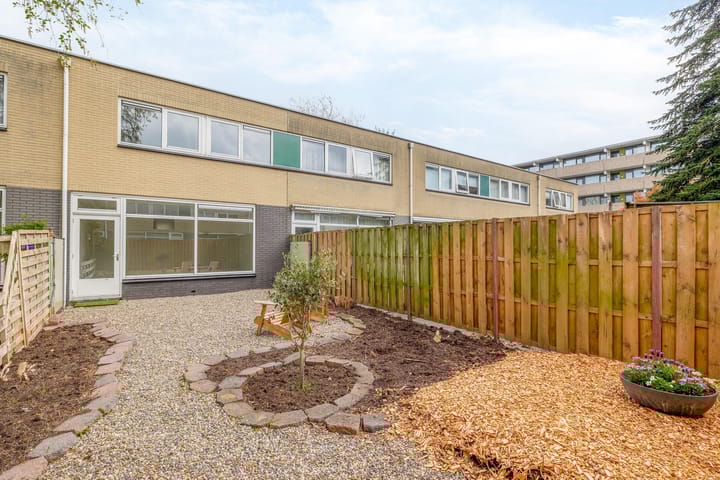 Foto 21 van de Dulf 41