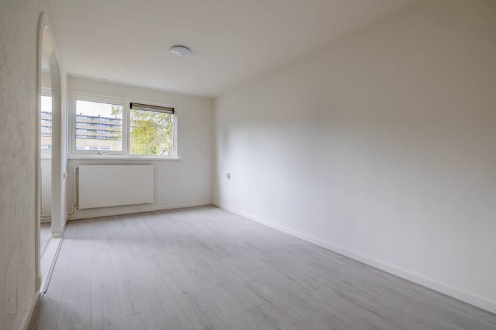 Foto 23 van de Dulf 41