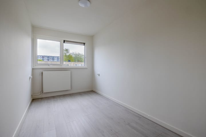 Foto 26 van de Dulf 41