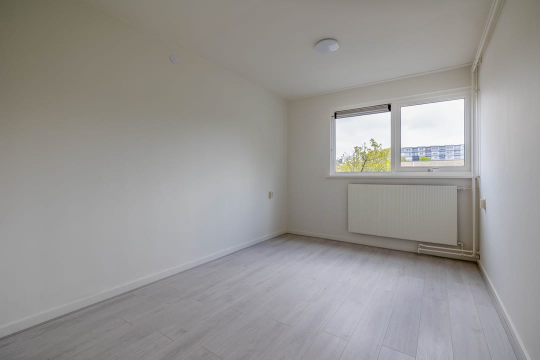 Foto 28 van de Dulf 41