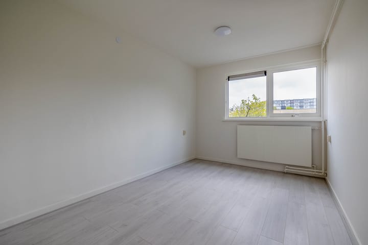 Foto 28 van de Dulf 41