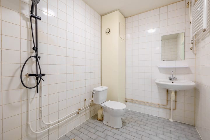 Foto 29 van de Dulf 41