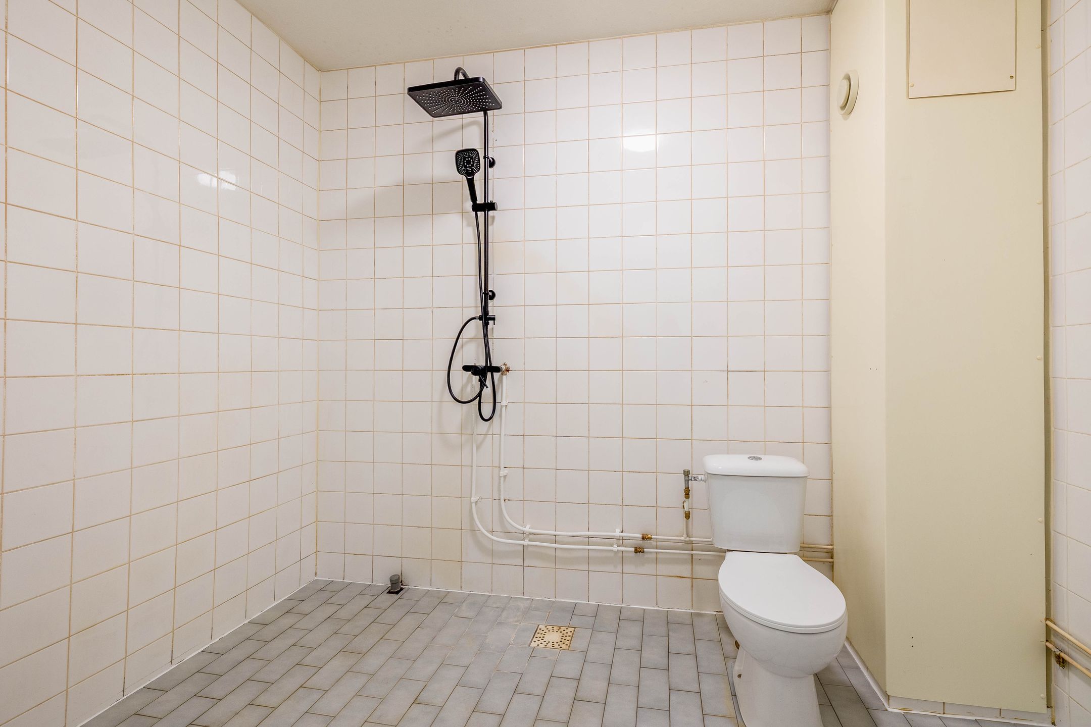 Foto 30 van de Dulf 41