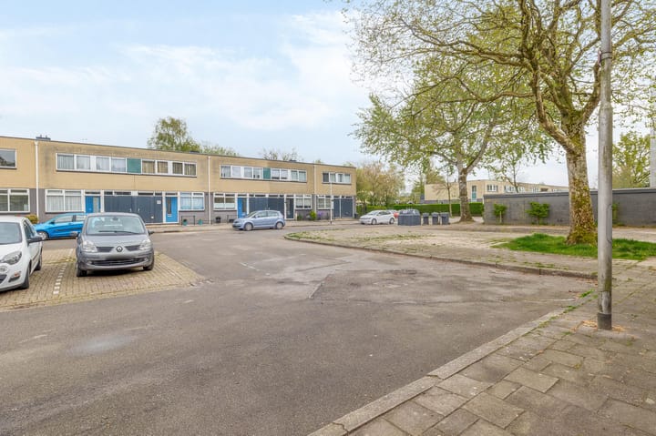 Foto 31 van de Dulf 41