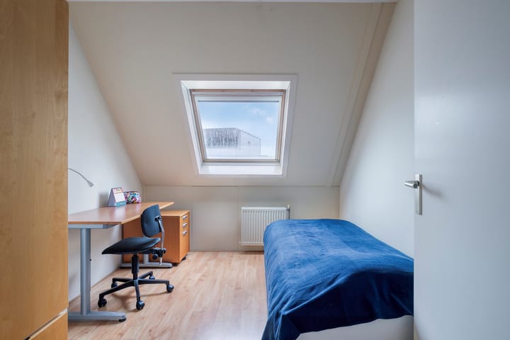 Foto 22 van Orion 28