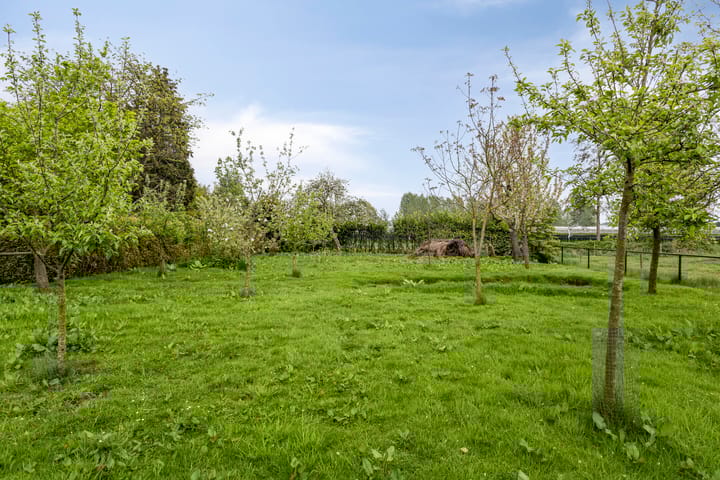 Foto 46 van De Peeldijk 11