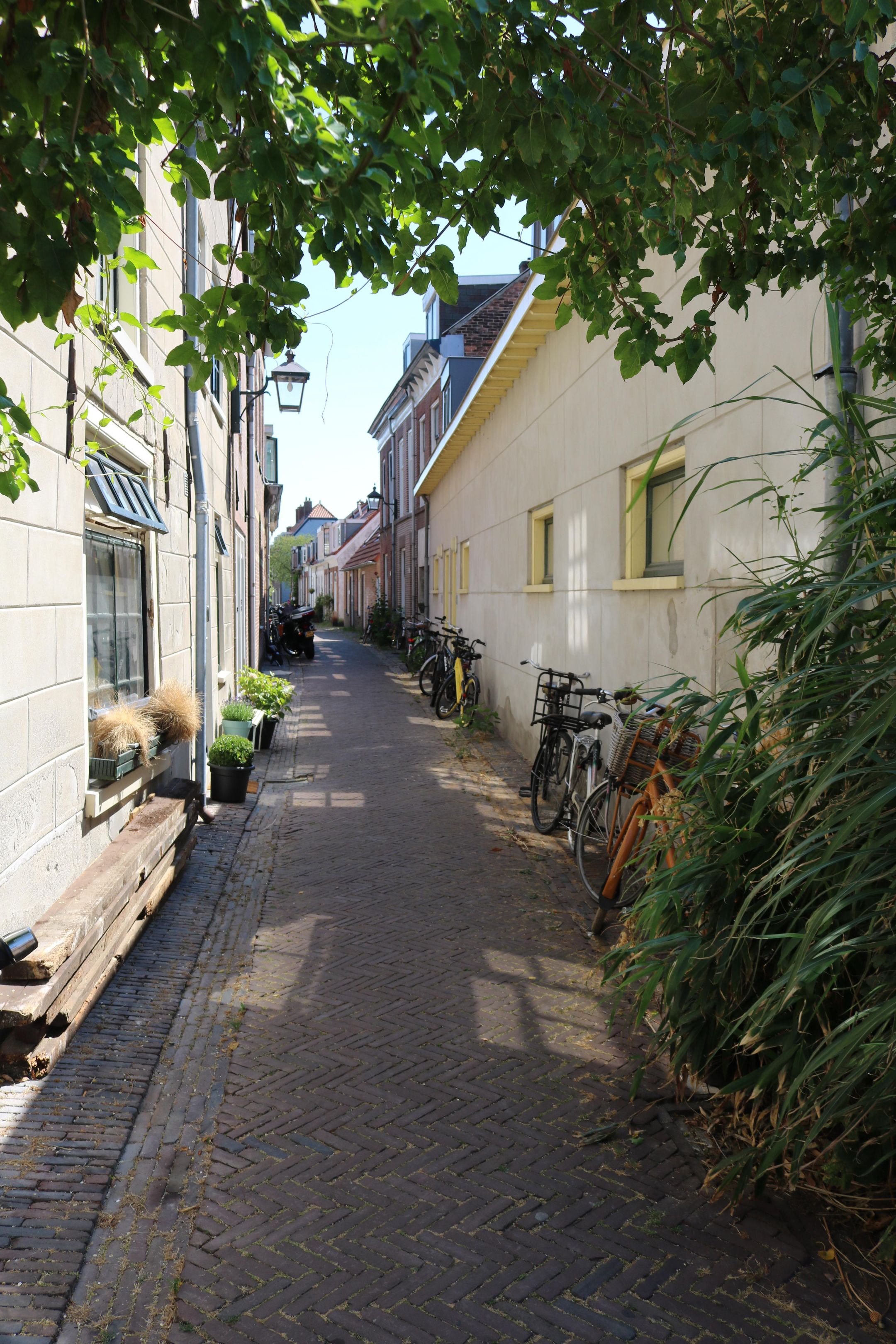 Photo 54 of Burgwal 3-ZW