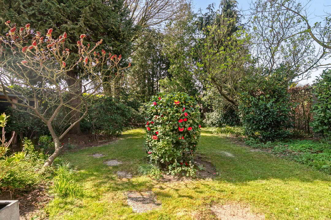 Foto 22 van Jan van Galenstraat 8