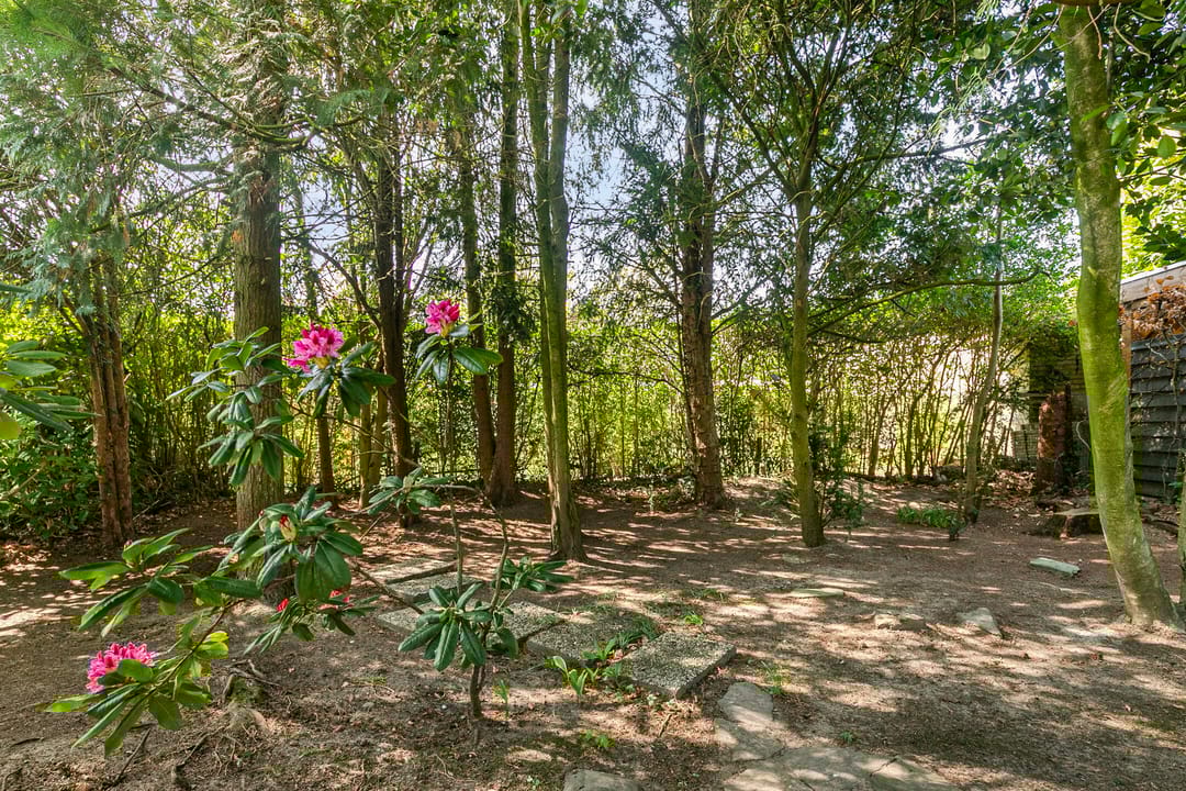 Foto 26 van Jan van Galenstraat 8