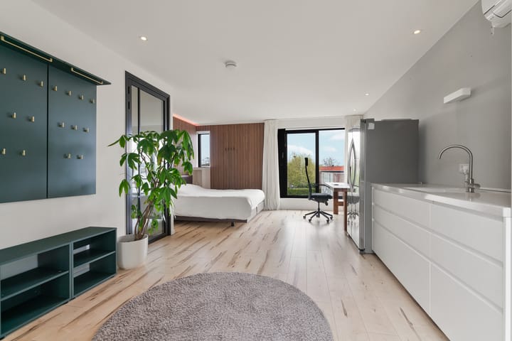 Foto 35 van Dorsvlegelstraat 1