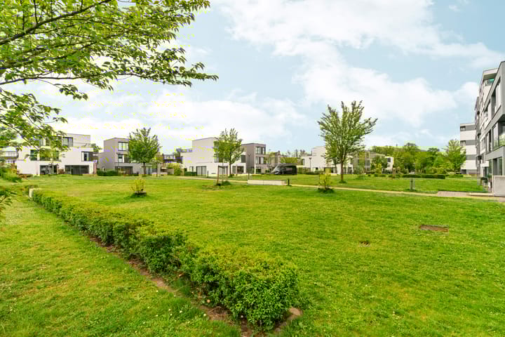 Foto 49 van Dorsvlegelstraat 1